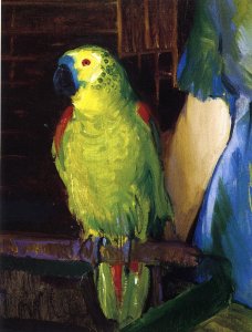 Parrot